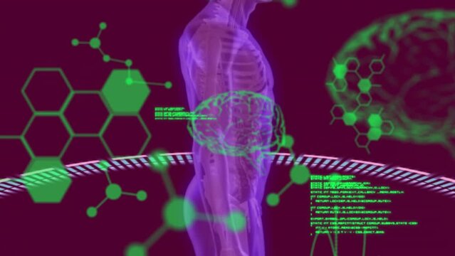 Animation of chemical formulas and data processing over rotating human body and brain