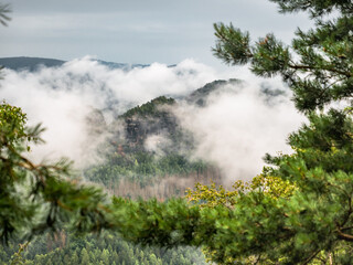 Kleiner Winterberg in der Sächsischen Schweiz - Aussicht durch die Zweige Richtung Lorenzsteine