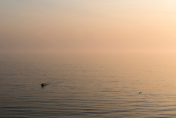 Man kayaking on the sea during sunset