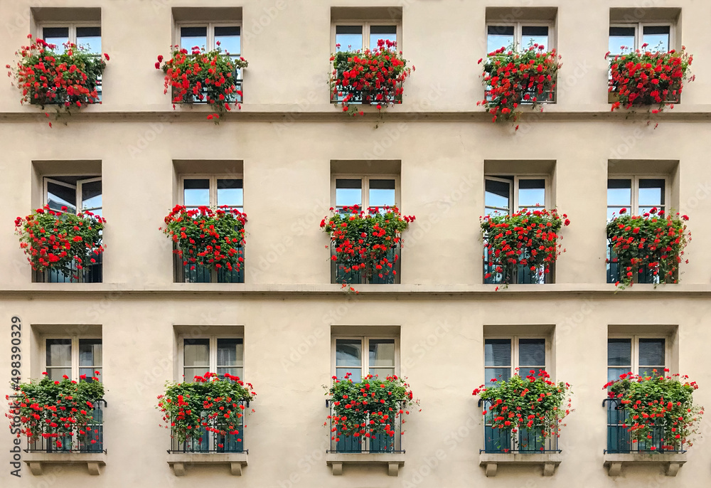 Canvas Prints parisian facade