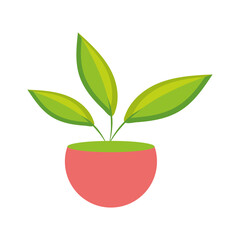 Isolated green house plant on a pot Vector