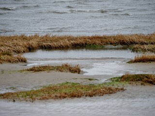 Nordseeküste bei Cuxhaven