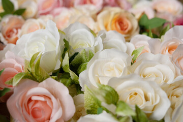 Floral background. Beige, white and pink roses.