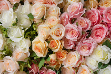 Obraz na płótnie Canvas Floral background. Beige, white and pink roses.