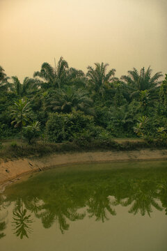 Landscape photography showing a lake within a tropical climate
