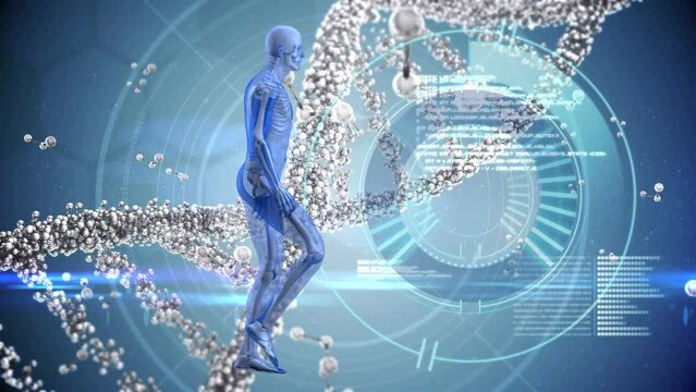 Animation of scope scanning, human body, dna strand and data processing - Powered by Adobe