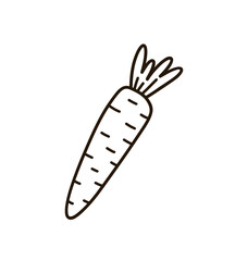 Fototapeta premium Cute carrot isolated on white background. Vector hand-drawn illustration in doodle style. Perfect for holiday designs, cards, logo, decorations, recipes.