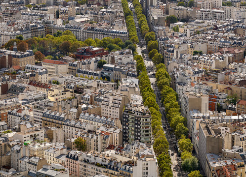 Parisian rooftops