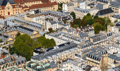 Fototapeta premium Parisian rooftops