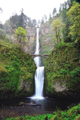 Fototapeta premium Multnomah Falls in Spring, Oregon-USA