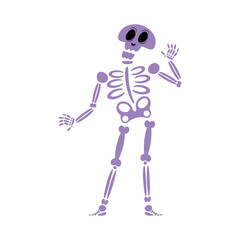 skeleton flat icon