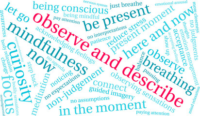 Observe and Describe During Mindfulness Word Cloud on a white background. 