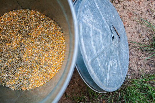 Chook food mix of pellets and corn in feed bin
