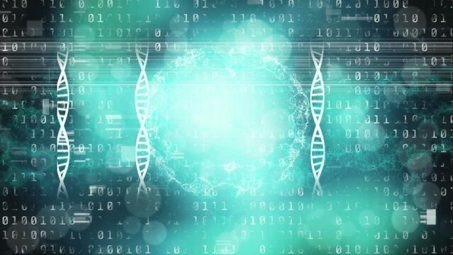 Animation of dna chains and brain rotating in digital space with binary code