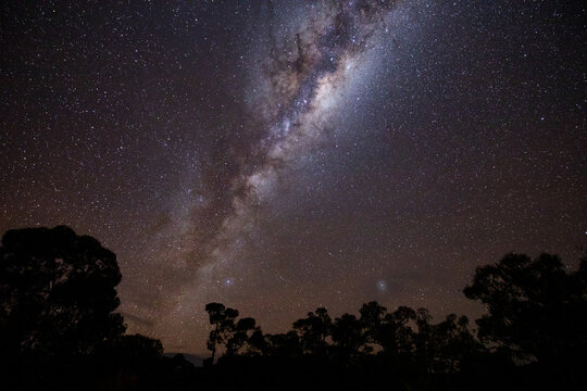 Milky Way over tree silhouettes