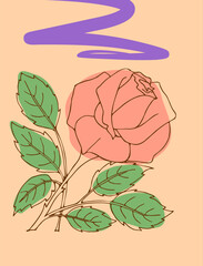 pastel illustration with rose flower on pink background