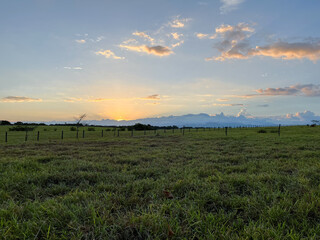 grassy field with fence and trees at sunset
