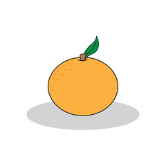 3d orange fruit. Realistic orange fruit. Plant leaf sign. Vector illustration. stock image. 