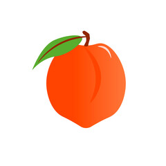 Fresh peach on a white background. Fruit vector illustration. For prints, packaging, farm shops, textiles, covers and brochures, clothing and logos, decorative elements.