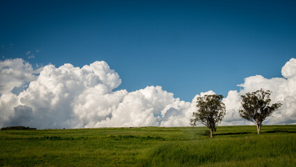 field and blue sky