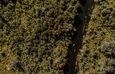 Kayakers on an Alaskan River from above
