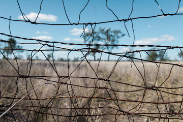 Looking through a wire fence