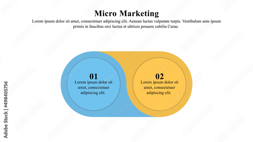 Wall mural infographic presentation template of the micro-marketing strategy used over a target group of custom