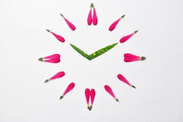 The clock made from zinnia petals and leaves, easy nature craft for kids, new idea creative concept.