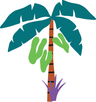 Tropical Plant Leaves