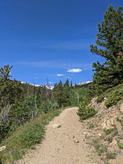 Fototapeta na wymiar Sunny Clear Hiking Trail in Northern Colorado For Emmaline Lake in Forest