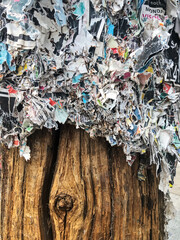 Wood Pole With Paper Fragments