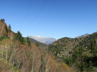 山