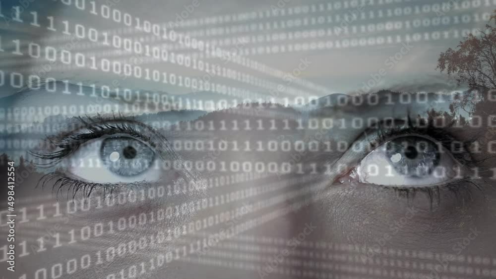 Poster animation of binary coding and landscape over eyes