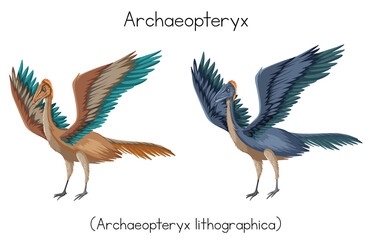 Two archaeopteryx with different colors
