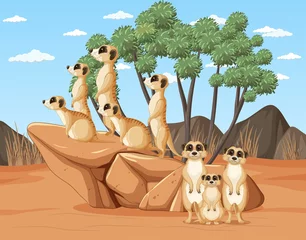 Wüstenszene mit einer Gruppe Erdmännchen © blueringmedia