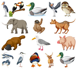 Different kinds of animals collection