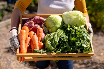 Midsection of caucasian mature woman holding wooden crate with various vegetables