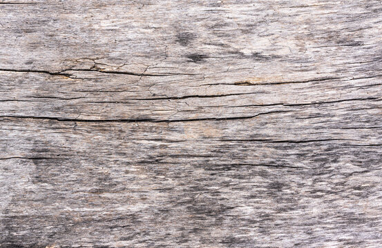 Texture seamless wooden board, background and wallpaper.