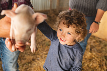 Smiling cute boy looking at piglet held by father with mother in pen