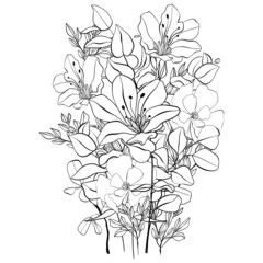 Bouquet of wild flowers. Composition from botanical elements. Flowers and leaves in line art style. Flower coloring page.