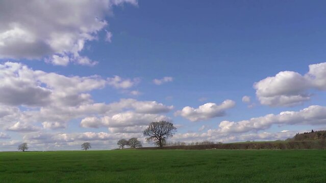 Motion controlled time lapse with fields and trees, winter 2