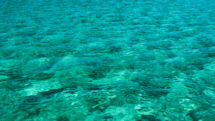 Fototapeta na wymiar green blue water ocean bahamas beach