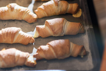 Baking french croissants at home. baking sheet with pastry. Cooking process. delicious and appetizing, Home kitchen