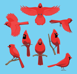 Bird Sitting Flying Red Cardinal Cute Cartoon Vector
