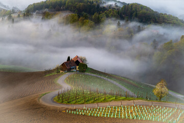 Herzerlstrasse © Burghard