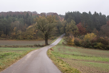 a curved country road in swabian alb