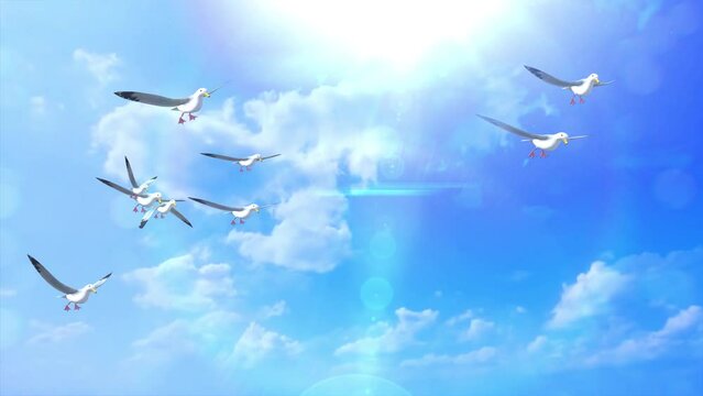Birds silhouette flying in blue sky. Birds on spring clouds background. Birds flying in air. The freedom of birds, freedom concept. Flockings of eurasian sea gulls with blue wings gliding.