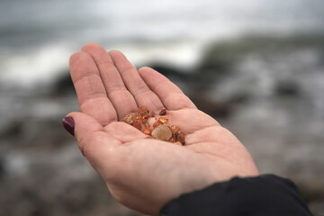 Amber on the palm in the girl's hand against the background of the Baltic Sea, Kaliningrad.
