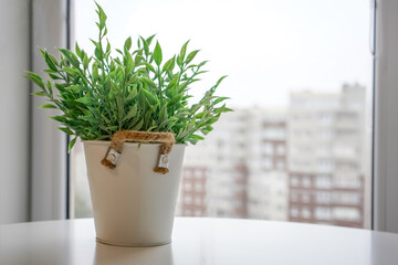 Artificial plant; flower in a white pot in front of the window. Modern interior.