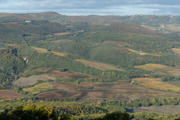 Fototapeta na wymiar Morning walk on hills near Bagno Vignoni, Tuscany, Italy. Tuscan landscape with cypress trees, vineyards, forests and ploughed fields in autumn.